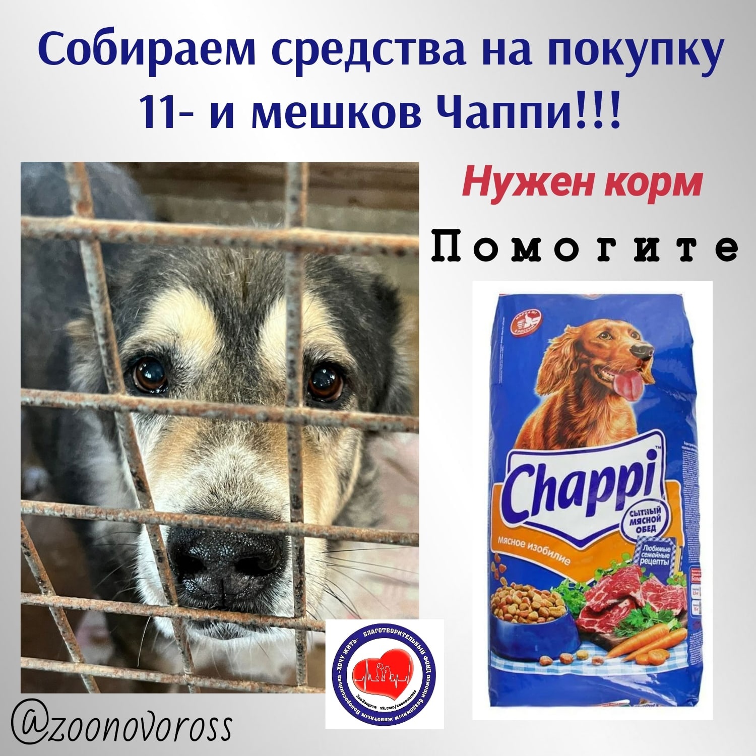 Сбор на корм для подопечных! - Фонд 